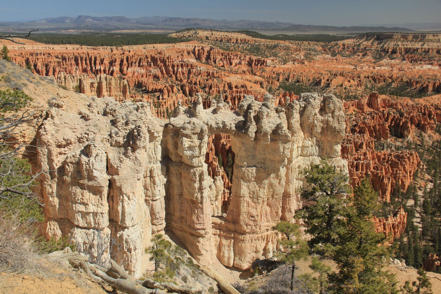 Bryce Point to Inspiration Point 